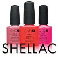Shellac